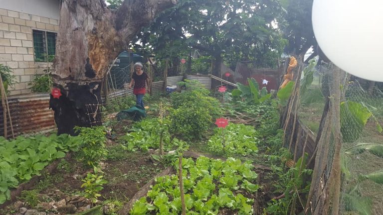 117307340_120027699720674_7941477114349979994_n