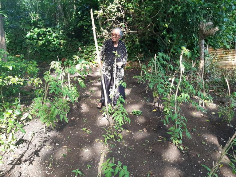 217400732_318878573168918_4647261771927329556_n (4)